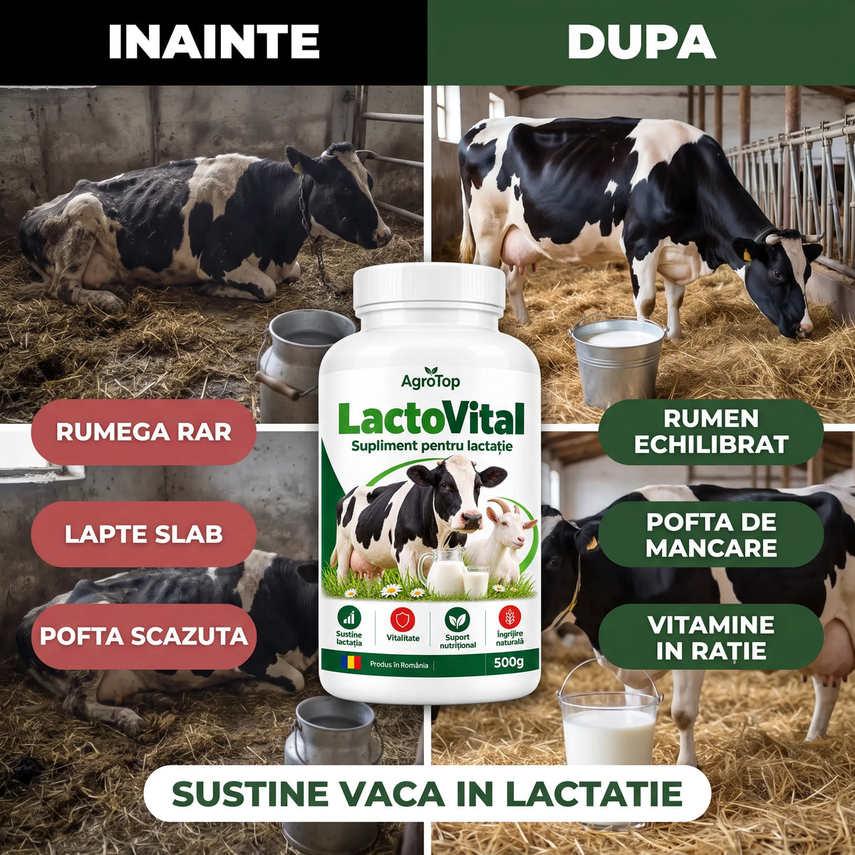 LactoVital - Supliment pentru lactație, 500g