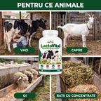 LactoVital - Supliment pentru lactație, 500g