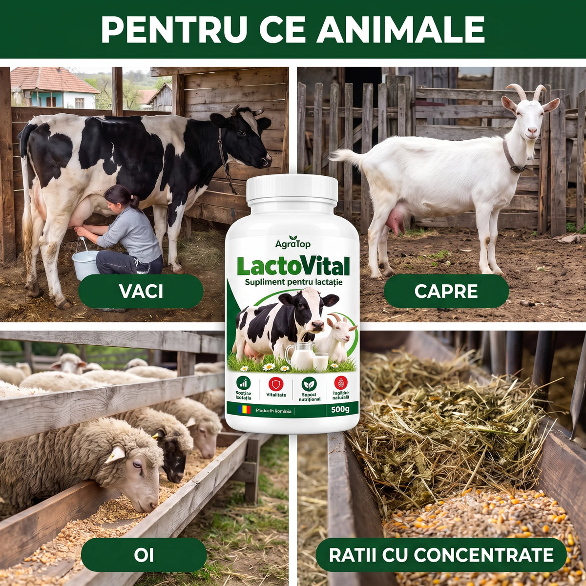 LactoVital - Supliment pentru lactație, 500g