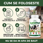 LactoVital - Supliment pentru lactație, 500g