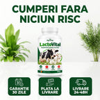 LactoVital - Supliment pentru lactație, 500g