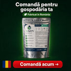 EcoSeptik Pro - Soluție pentru toalete și fose