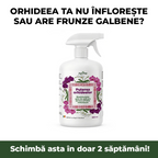 Puterea Orhideelor 500 ml - l