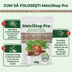 Moluscocid MelciStop Pro, 40g