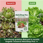Moluscocid MelciStop Pro, 40g