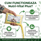 (TT) Nutri-Vital Plus, Calciu furajer vitaminizat pentru ingrasarea animalelor, 1 kg