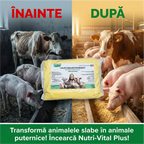 (TT) Nutri-Vital Plus, Calciu furajer vitaminizat pentru ingrasarea animalelor, 1 kg