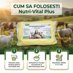 Nutri-Vital - l