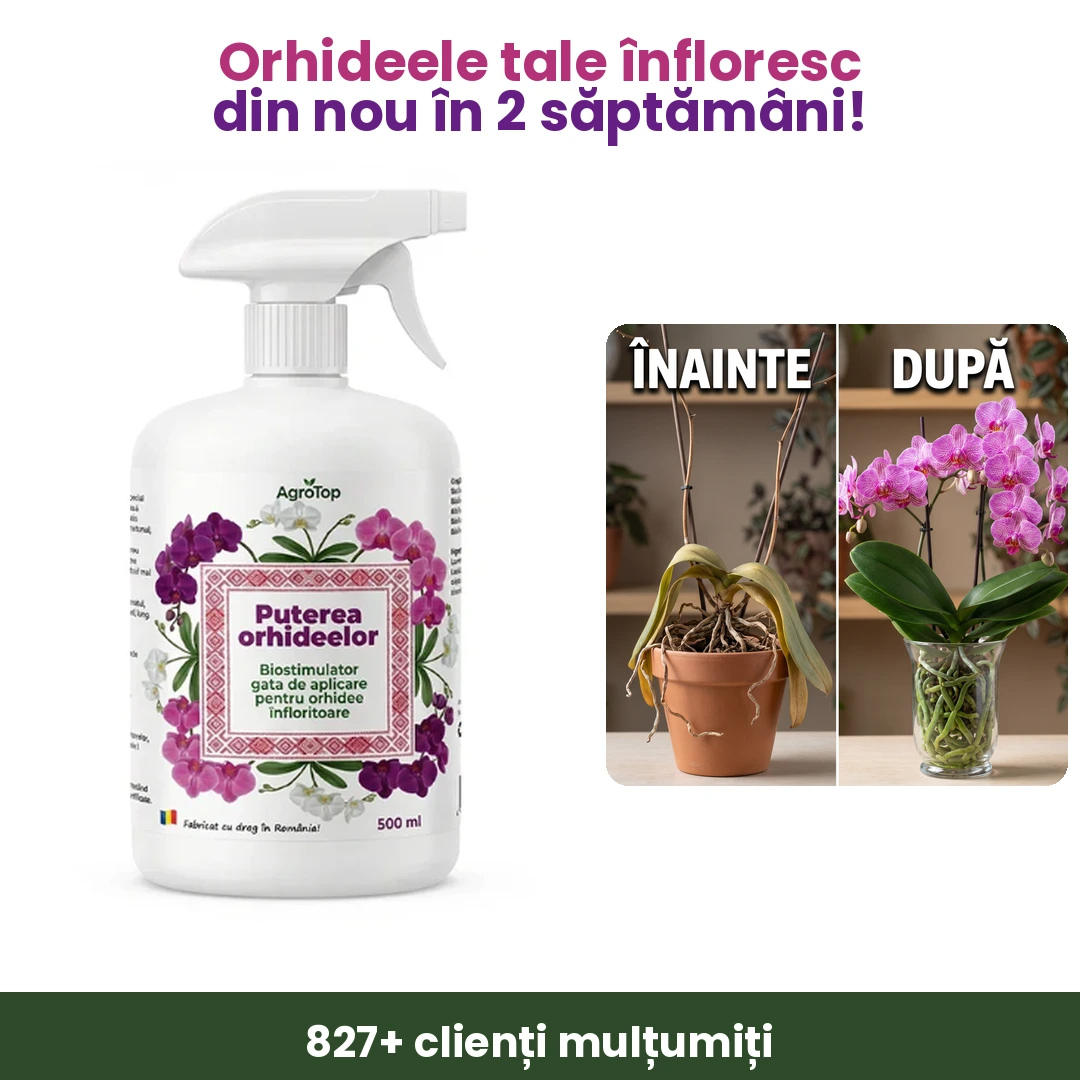 Puterea Orhideelor 500 ml - l