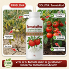 (TT) Stimulator de legare si rodire pentru tomate, 1L