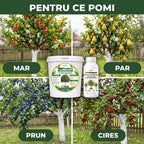 Pachet "Protectie Pomi"