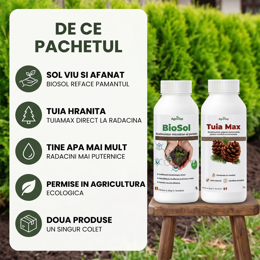 Pachet "Conifere & Sol Sanatos"