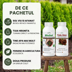 Pachet "Conifere & Sol Sanatos"