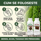 Pachet "Conifere & Sol Sanatos"