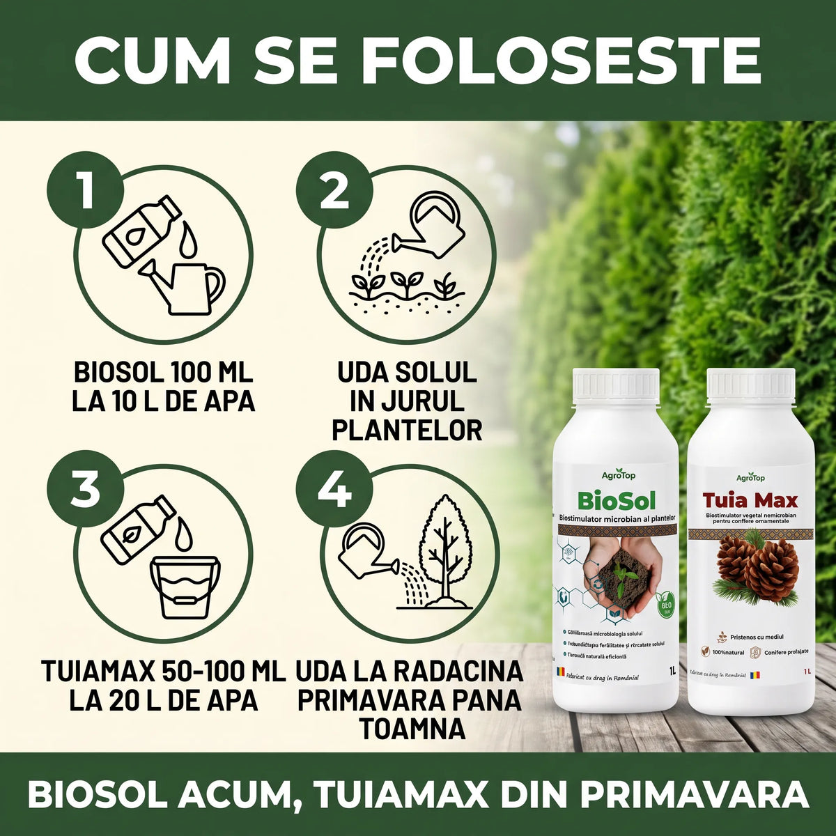 Pachet "Conifere & Sol Sanatos"