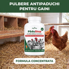 PăduStop