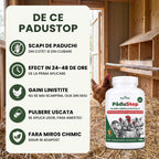 PăduStop