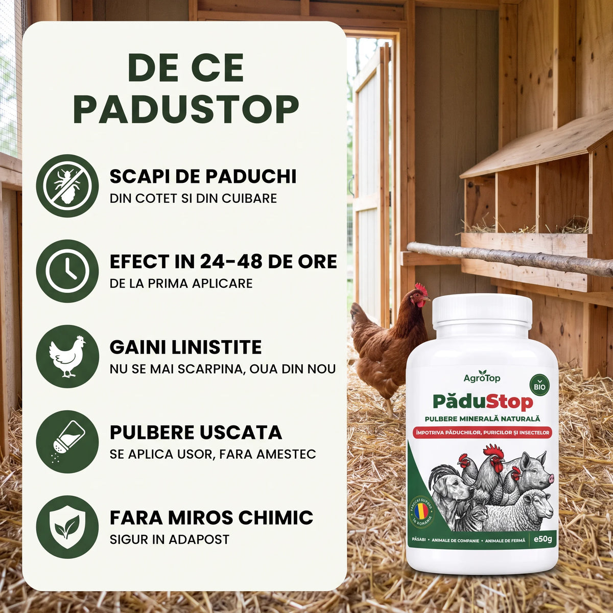 PăduStop