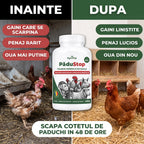 PăduStop