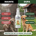 ParaStop - Spray repelent natural împotriva paraziților externi, 100ml