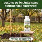 PomMax - Solutie inradacinare pomi fructiferi, 1L