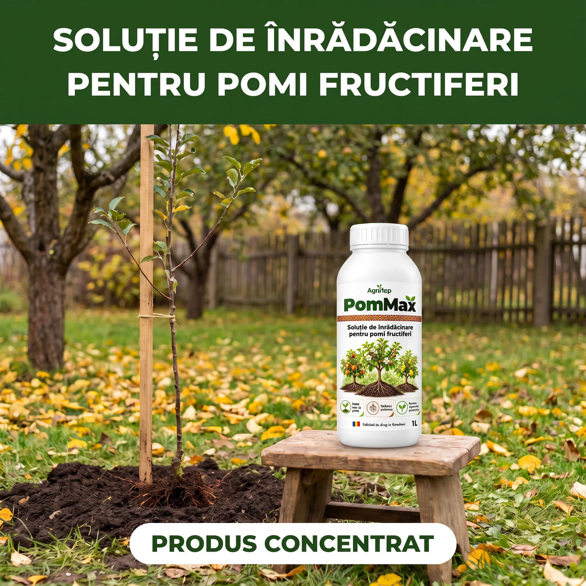PomMax - Solutie inradacinare pomi fructiferi, 1L