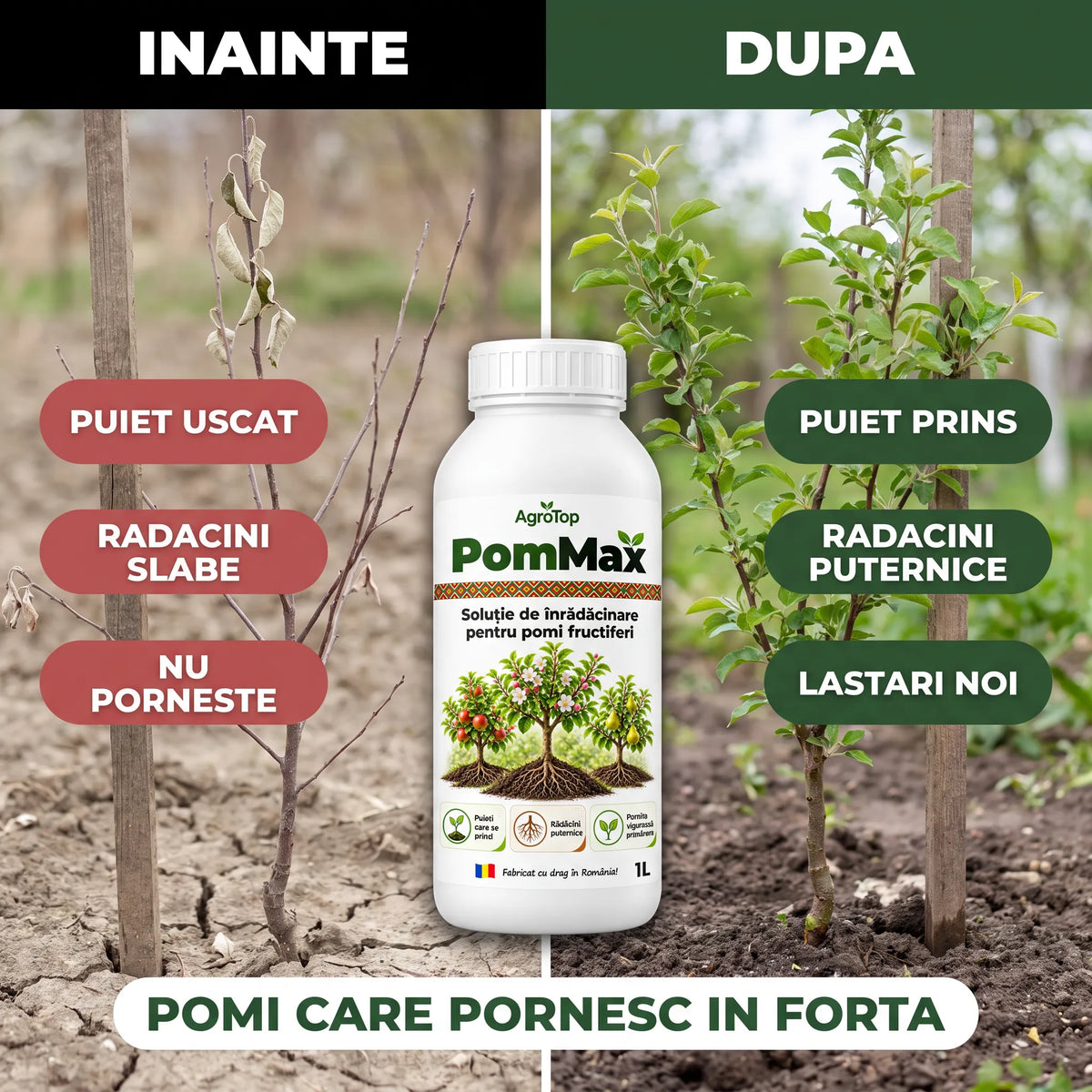 PomMax - Solutie inradacinare pomi fructiferi, 1L