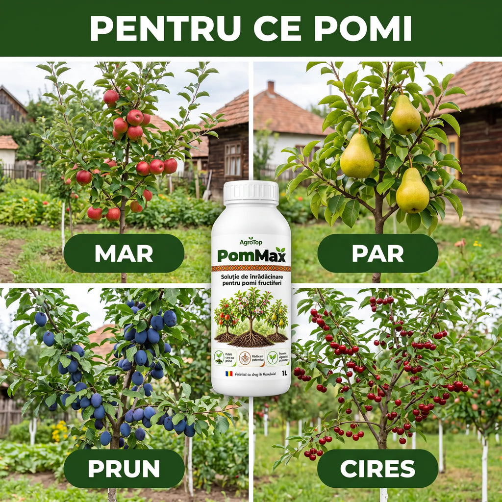 PomMax - Solutie inradacinare pomi fructiferi, 1L