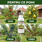 PomMax - Solutie inradacinare pomi fructiferi, 1L
