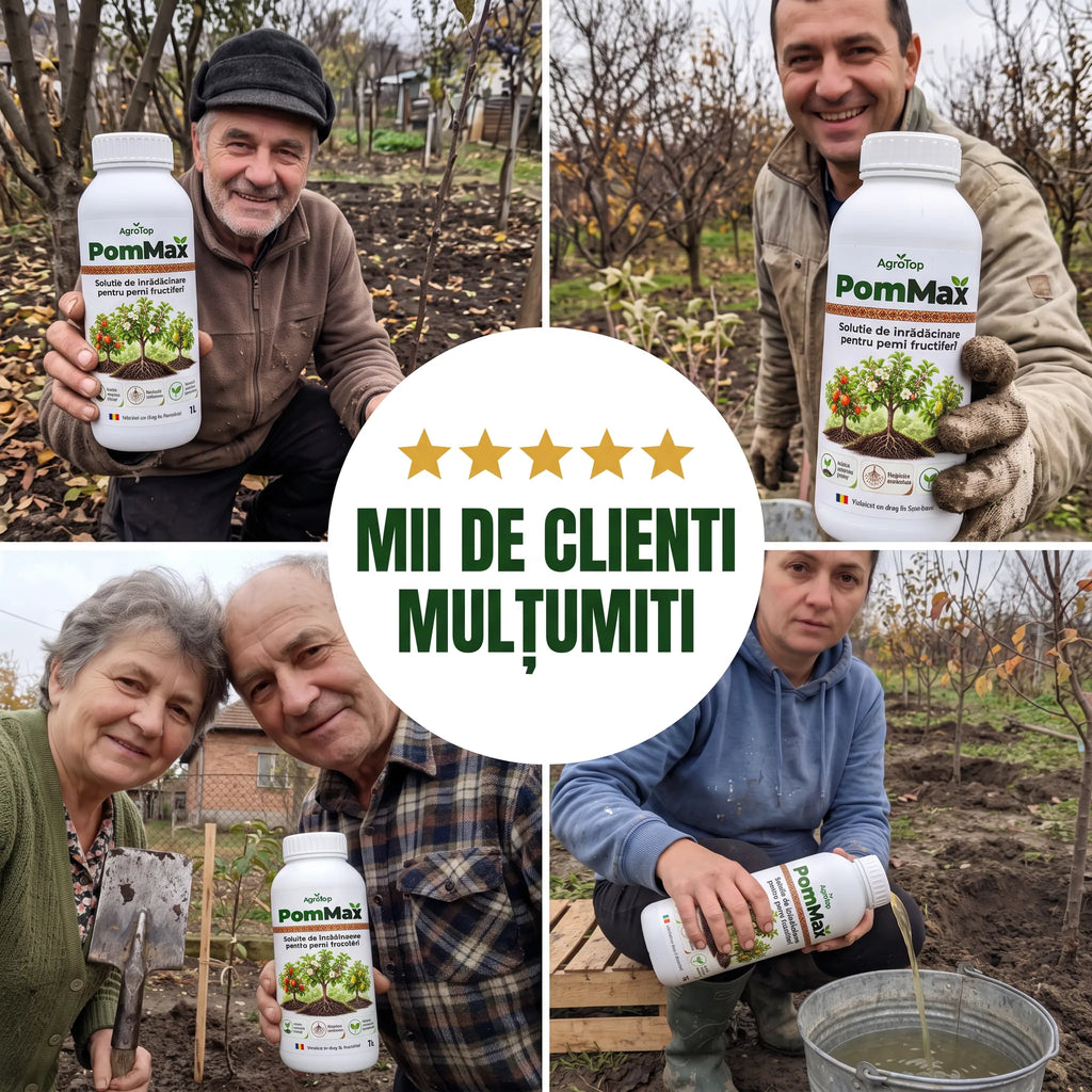 PomMax - Solutie inradacinare pomi fructiferi, 1L