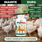 PuiMax - Aditiv furajer pentru cresterea puilor, 500g