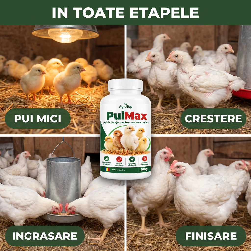 PuiMax - Aditiv furajer pentru cresterea puilor, 500g