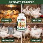 PuiMax - Aditiv furajer pentru cresterea puilor, 500g