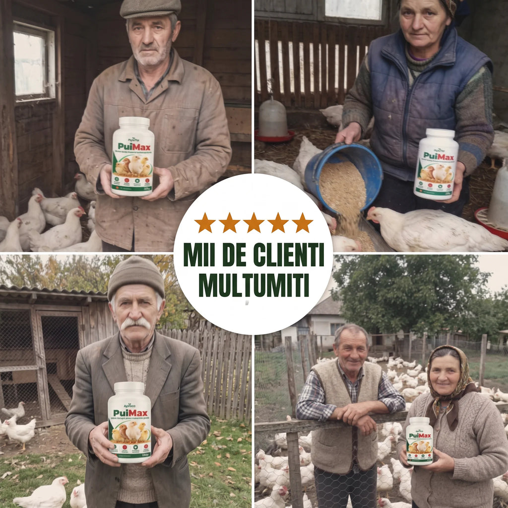 PuiMax - Aditiv furajer pentru cresterea puilor, 500g