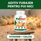 PuiStart - Aditiv furajer pentru pui mici, 500g