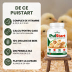 PuiStart - Aditiv furajer pentru pui mici, 500g