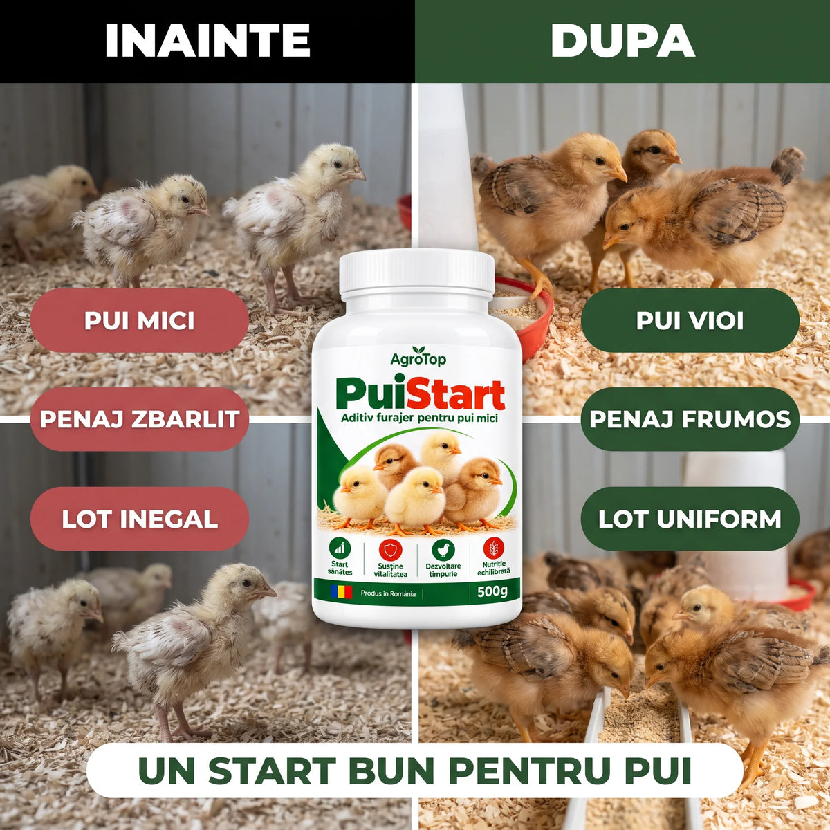 PuiStart - Aditiv furajer pentru pui mici, 500g