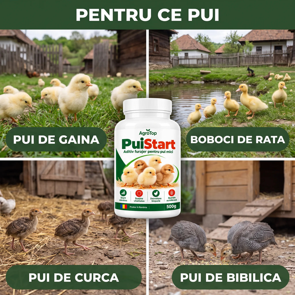 PuiStart - Aditiv furajer pentru pui mici, 500g