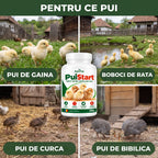 PuiStart - Aditiv furajer pentru pui mici, 500g