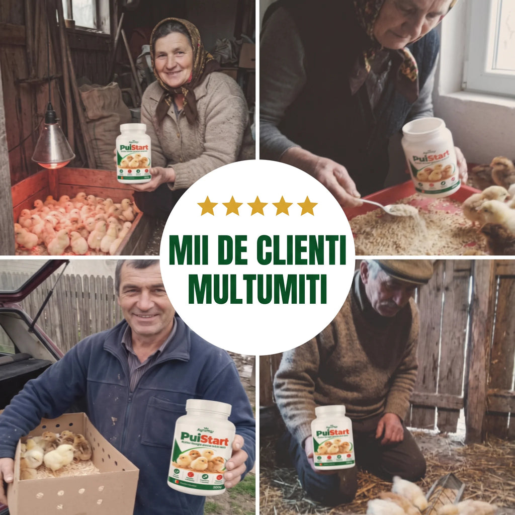 PuiStart - Aditiv furajer pentru pui mici, 500g