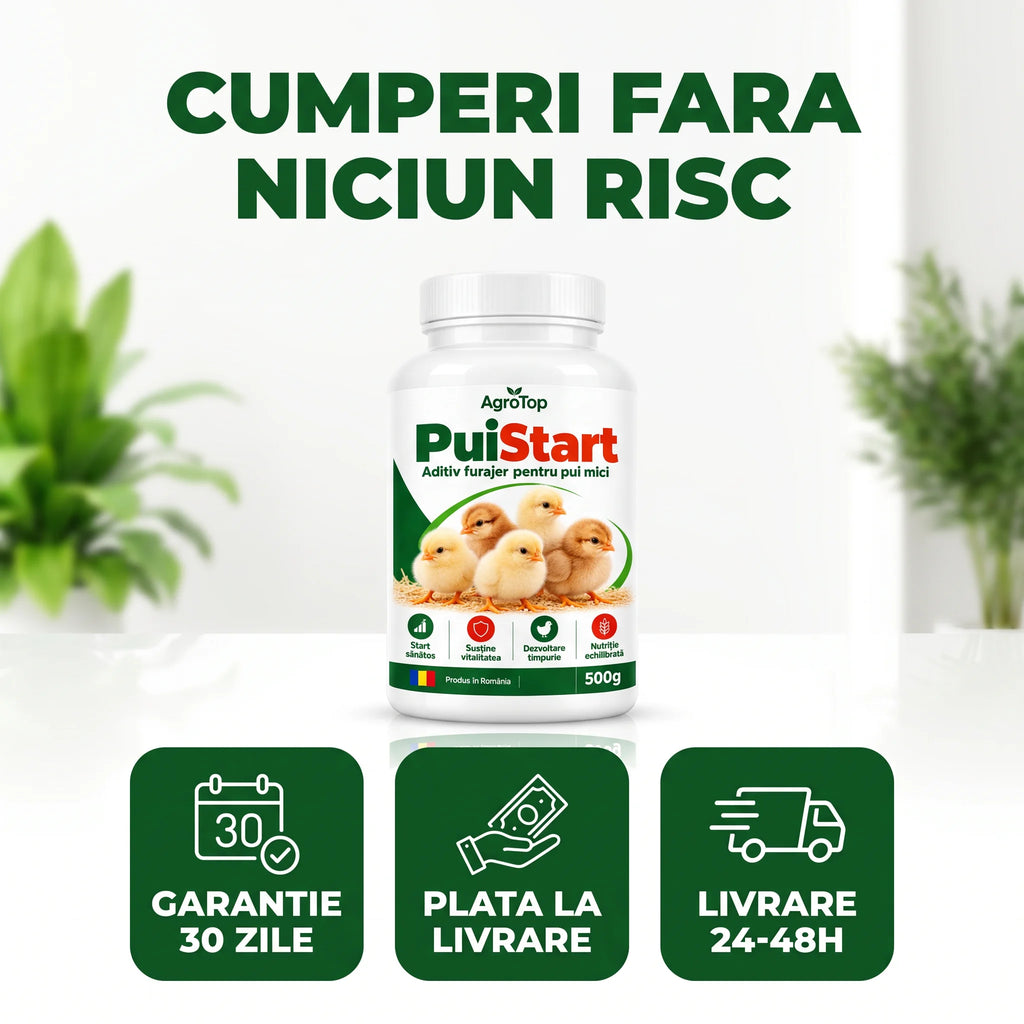PuiStart - Aditiv furajer pentru pui mici, 500g