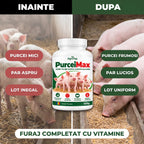 PurceiMax - Aditiv furajer pentru cresterea purceilor, 500g