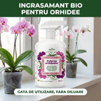 Puterea Orhideelor 500 ml buc.