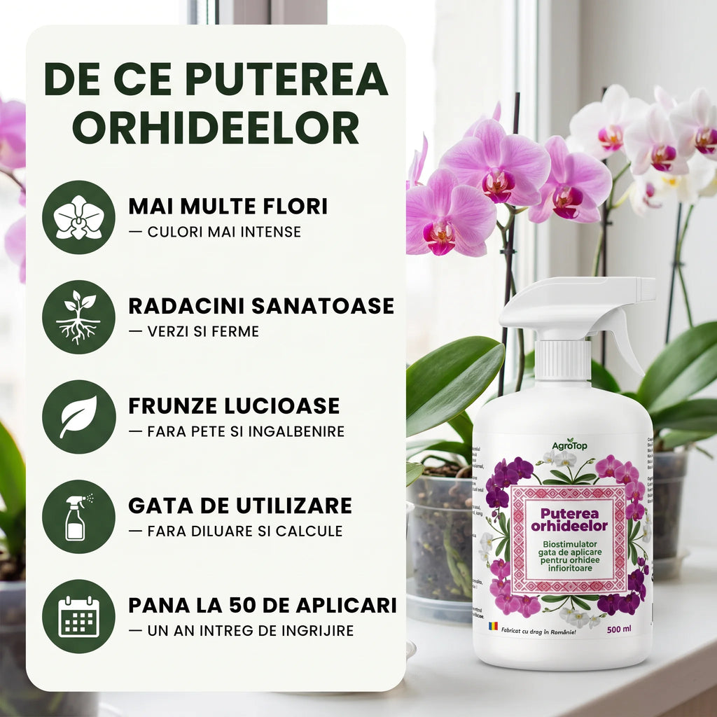 Puterea Orhideelor 500 ml buc.