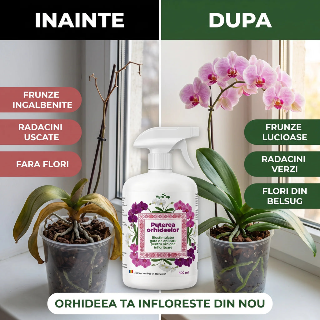 Puterea Orhideelor 500 ml buc.