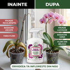 Puterea Orhideelor 500 ml buc.