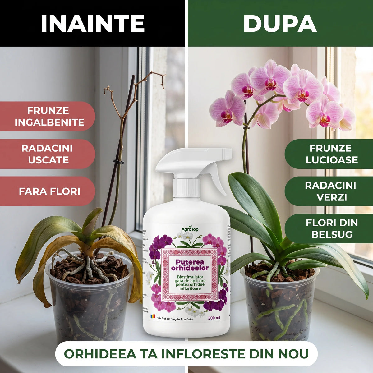 Puterea Orhideelor 500 ml buc.