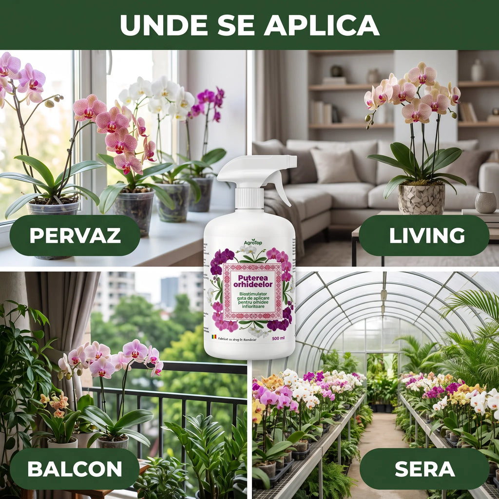 Puterea Orhideelor 500 ml buc.