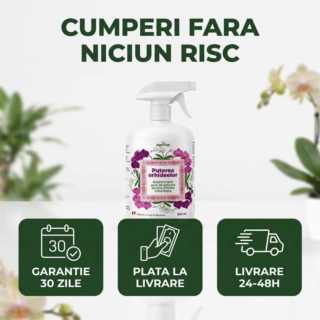 Puterea Orhideelor 500 ml buc.