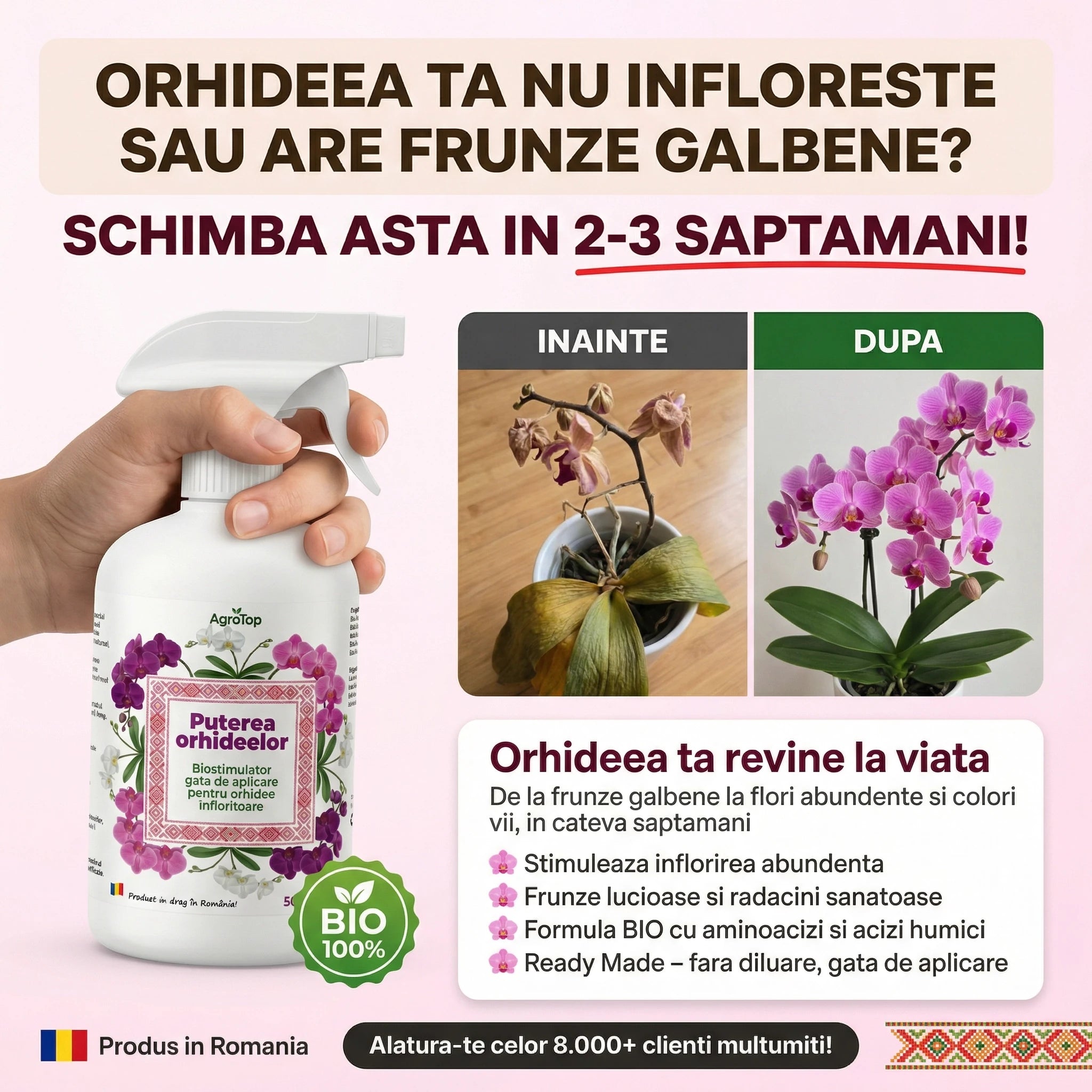 Puterea Orhideelor 500 ml